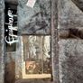 Gibson Epiphone Explorer 1984 EX Image 10