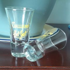 Two Vintage Glasses - Advertising Galliano