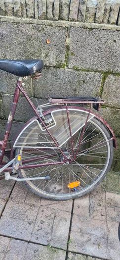 bikes