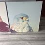 large canvas hawks 32+32 inch Image 5