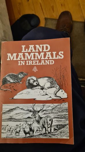 Land Mammals In Ireland. Issued By Forest And Wildlife Service. Leesonane Dublin. Booklet.1986.
