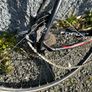 push bike Image 3