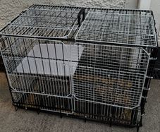 free cage