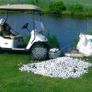 Second Chance Lake Golf Balls with Reuseable Carry Bag - Select 25, 36, 50 or 100 Golf Balls Image 7
