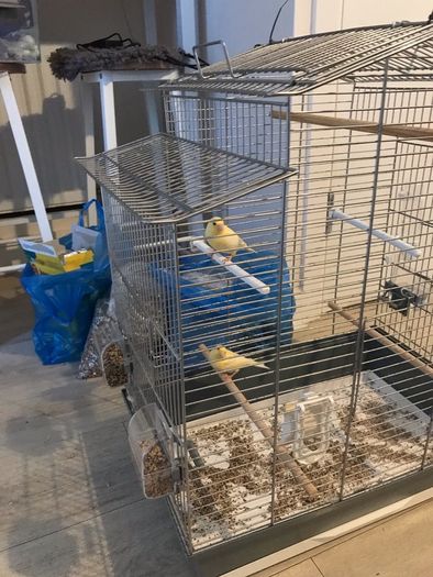 cage