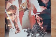 Kill Bill Vol.2 Poster