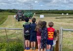 Silage bales