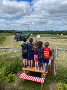 Silage bales