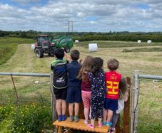 Silage bales