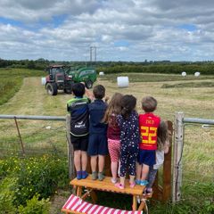 Silage bales