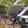 Giant Defy Racer (Size M) Image 5