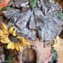 Set of  5 beautiful  fairy houses Image 7