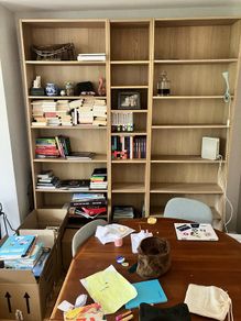 FREE- Bookshelves