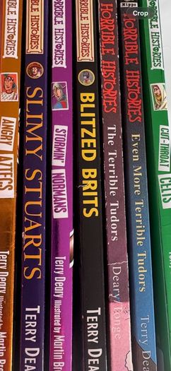 Horrible Histories Books