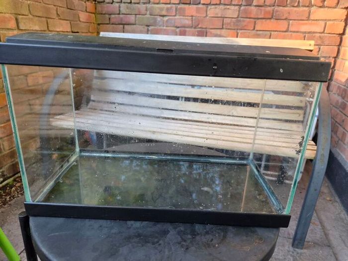 fish tank