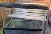 fish tank