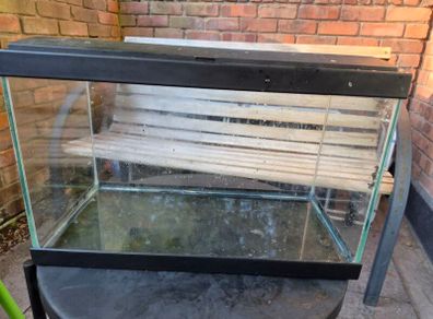 fish tank