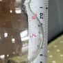 Antique French Pigeon Lamp Image 2