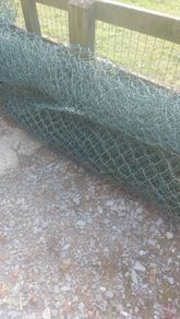 Mesh Wire (FREE)