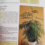 New book House Plants Image 5