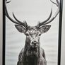 Ikea Deer canvas Image 2