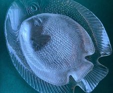 Arcoroc France Fish Platter and plates