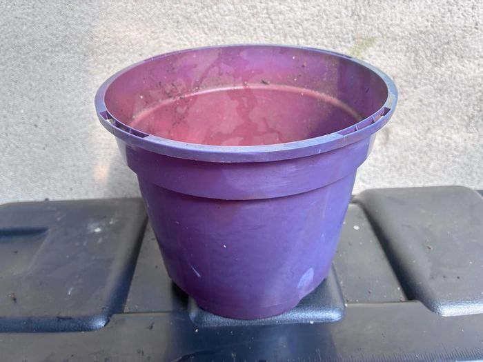 Plastic purple flower pot