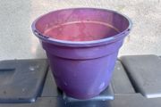 Plastic purple flower pot