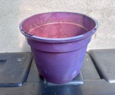 Plastic purple flower pot