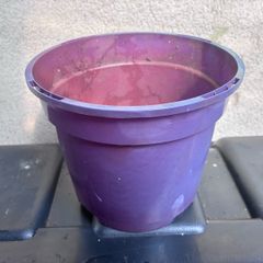 Plastic purple flower pot
