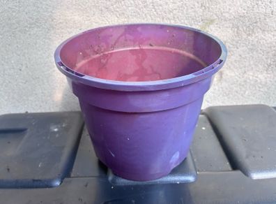 Plastic purple flower pot