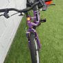 20" Envy Apollo Bike Image 4