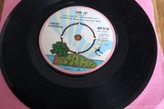 Fairport Convention John Lee IRISH PRESS