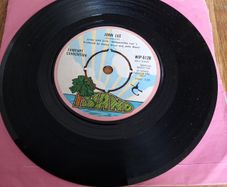 Fairport Convention John Lee IRISH PRESS