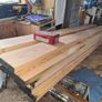 Douglas fir Image 6
