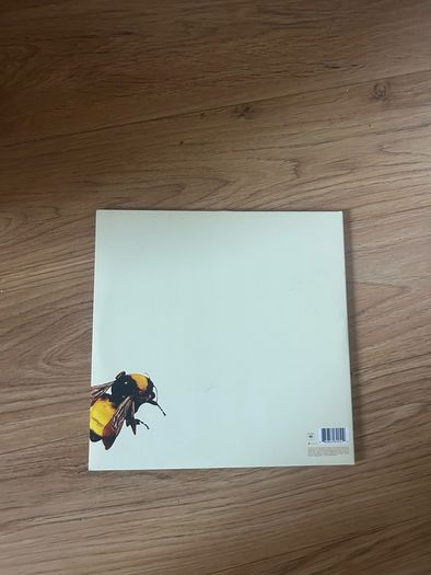 Tyler the creator - Flower boy, vinyl