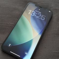 iPhone 12 Pro Max, 128GB unlocked