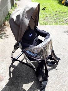 Carrier  toddler