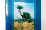 Cycads (Signed Hardback) - Nat Grobbelaar - Specialist Plant Book - Botany Book - Plant Reference Book