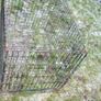 Dog / Animal Crate 75cm x 61cm x52cm Image 2