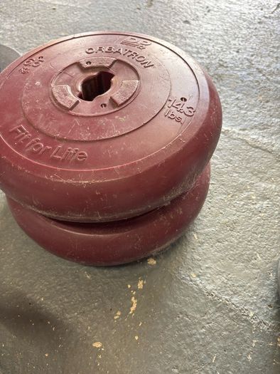 York and Pro Power weight plates.
