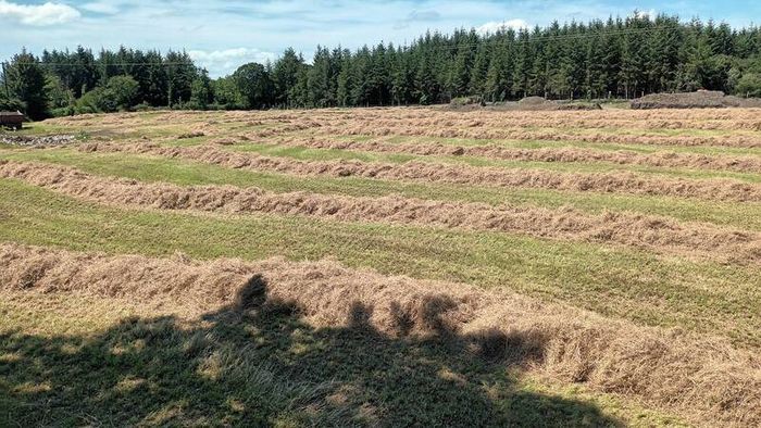 Round Hay Bales