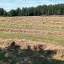 Round Hay Bales Image 3