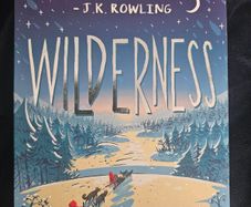 Wilderness Roddy Doyle