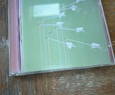 Modest Mouse - Good News for People Who Love Bad News
