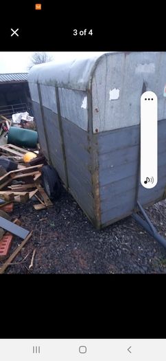 Calf sheep pony box