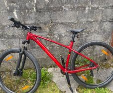 Trek mountain bike