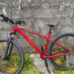 Trek mountain bike