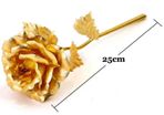 24k Gold Rose