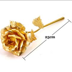 24k Gold Rose